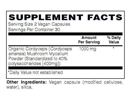 Poudre De Champignon Cacao Pour Performance Mentale, Avec Cordyceps Sinensis, Choline, Ginkgo - Bio, Origine Allemagne