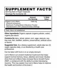 LION’S MANE Mushroom