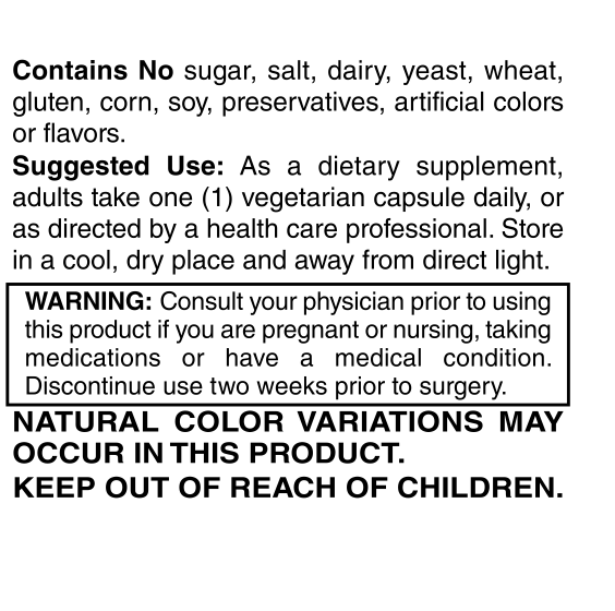 Turmeric Extract 500 mg suggested use, storage directions and warnings